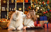 Los Mejores Juguetes y Accesorios para Sorprender a tu Perro Esta Navidad