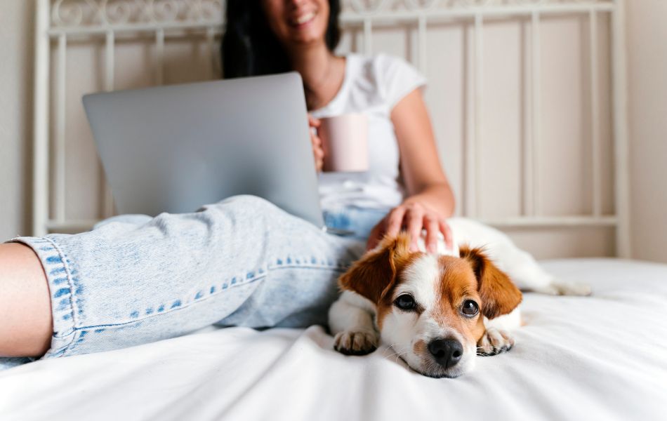 ¿Por qué los perros no deben dormir en la cama?