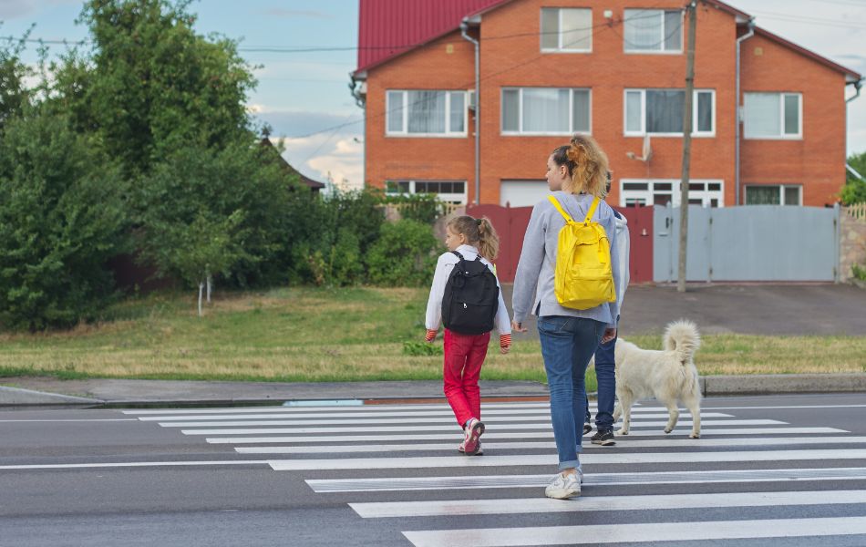 Cómo Preparar a tu Perro para la Temporada de Regreso a Clases