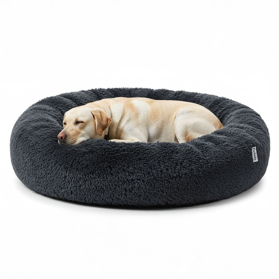 Cama Antiestrés para Perros