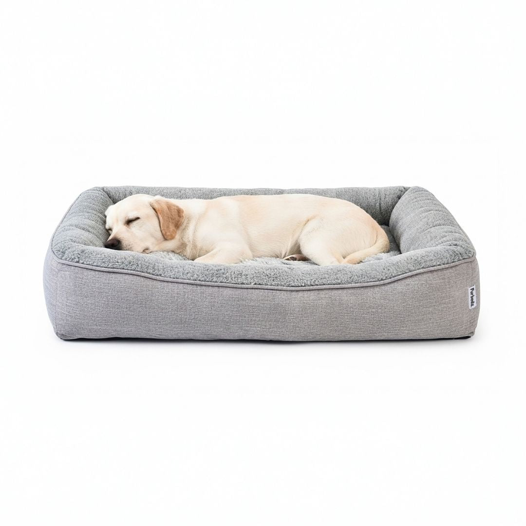 Cama Sofá para Perros