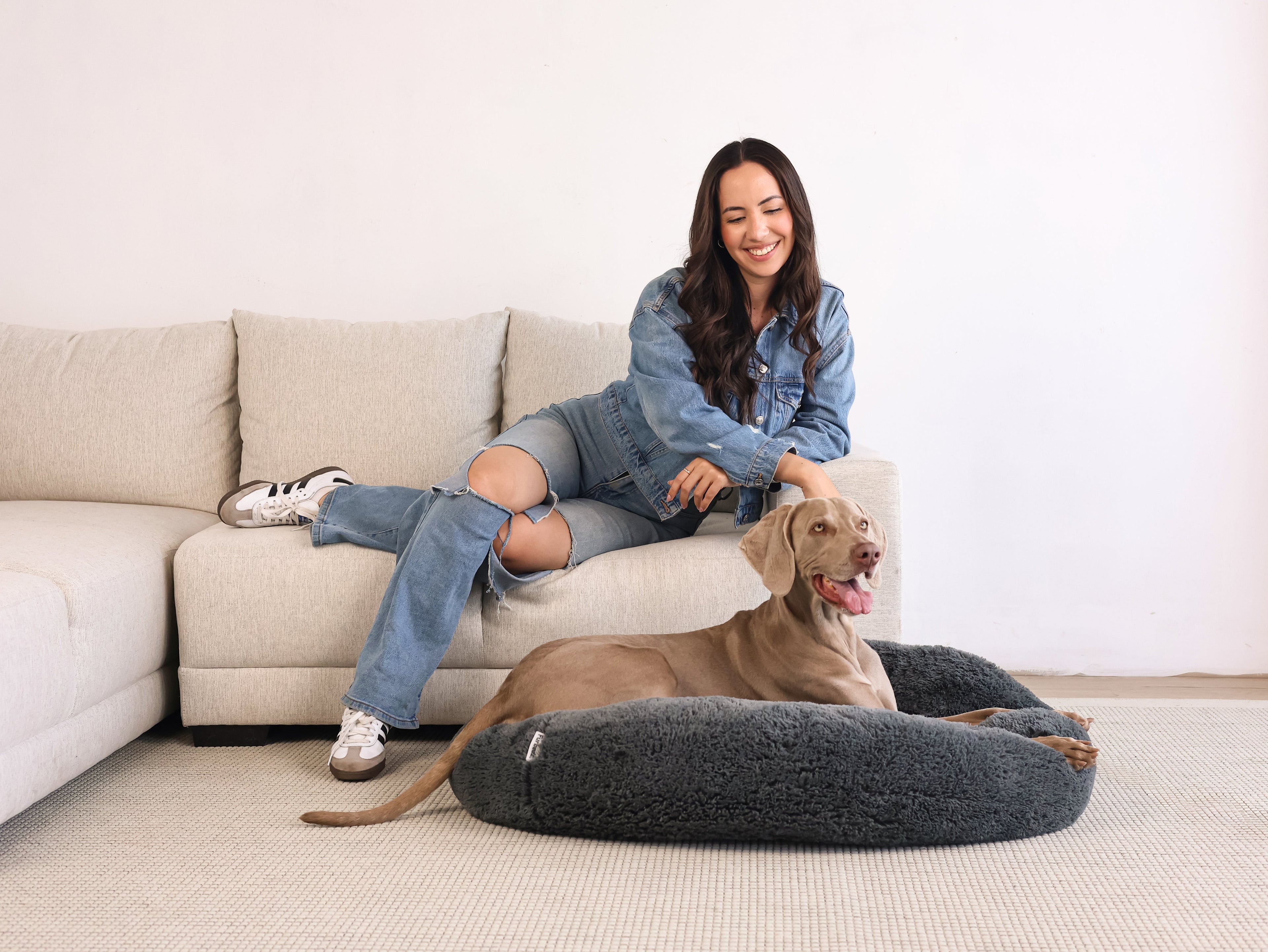 ¿Cuál es la mejor cama para perros según su edad?