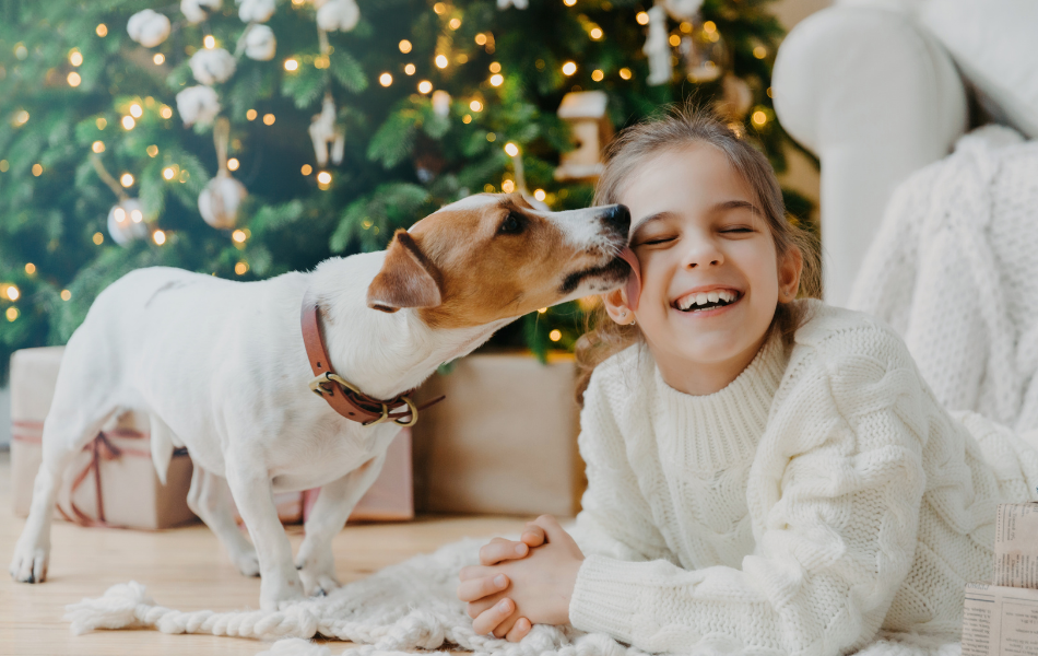 ¿Por qué mi perro me lame?