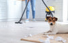 5 tips de limpieza para el hogar para dueños de mascotas