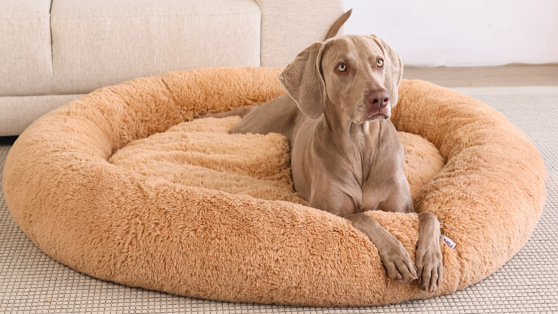 Las mejores camas antiestrés: ¿sirven realmente?