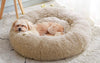 ¿Cómo funciona una cama antiestrés para perros?