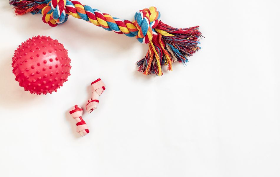 Los Mejores Juguetes para Perro