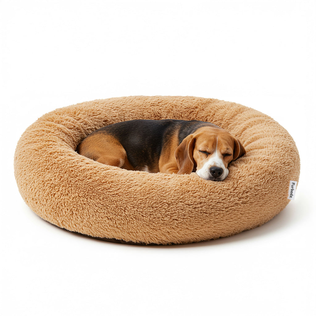 Cama Antiestrés para Perros