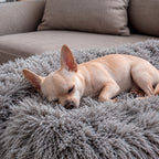 Manta Protectora Impermeable para Perros