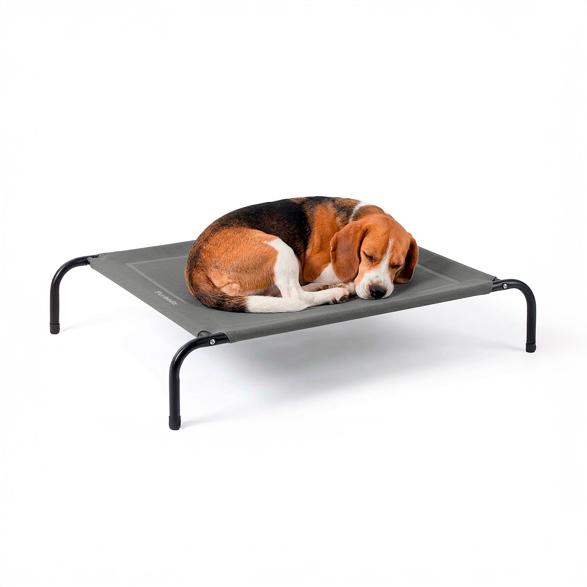 Cama Elevada para Perros