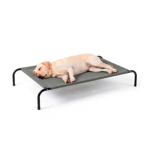 Cama Elevada para Perros