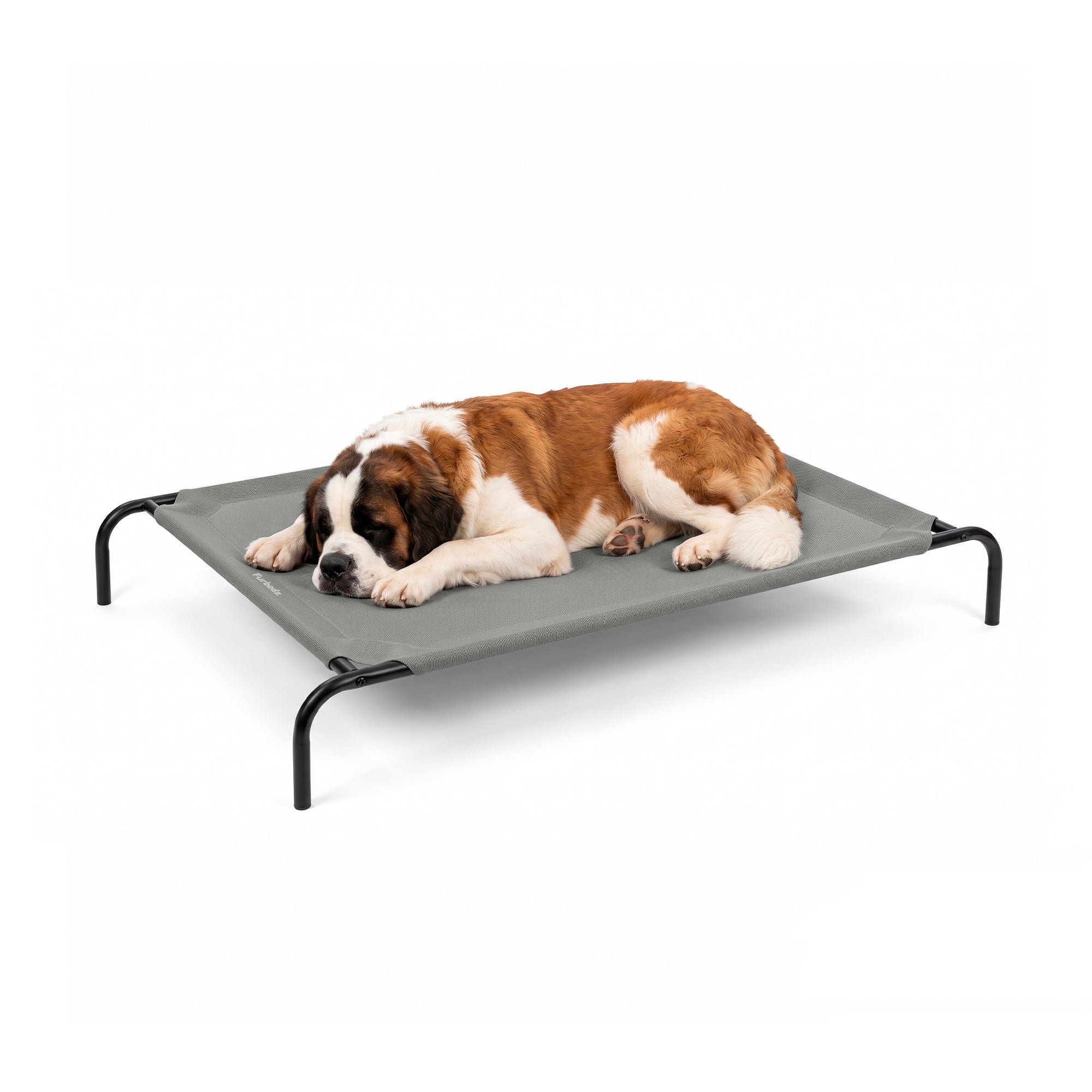 Cama Elevada para Perros