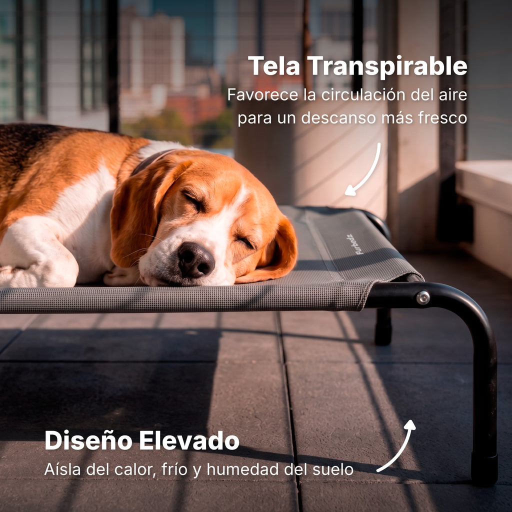 Cama Elevada para Perros