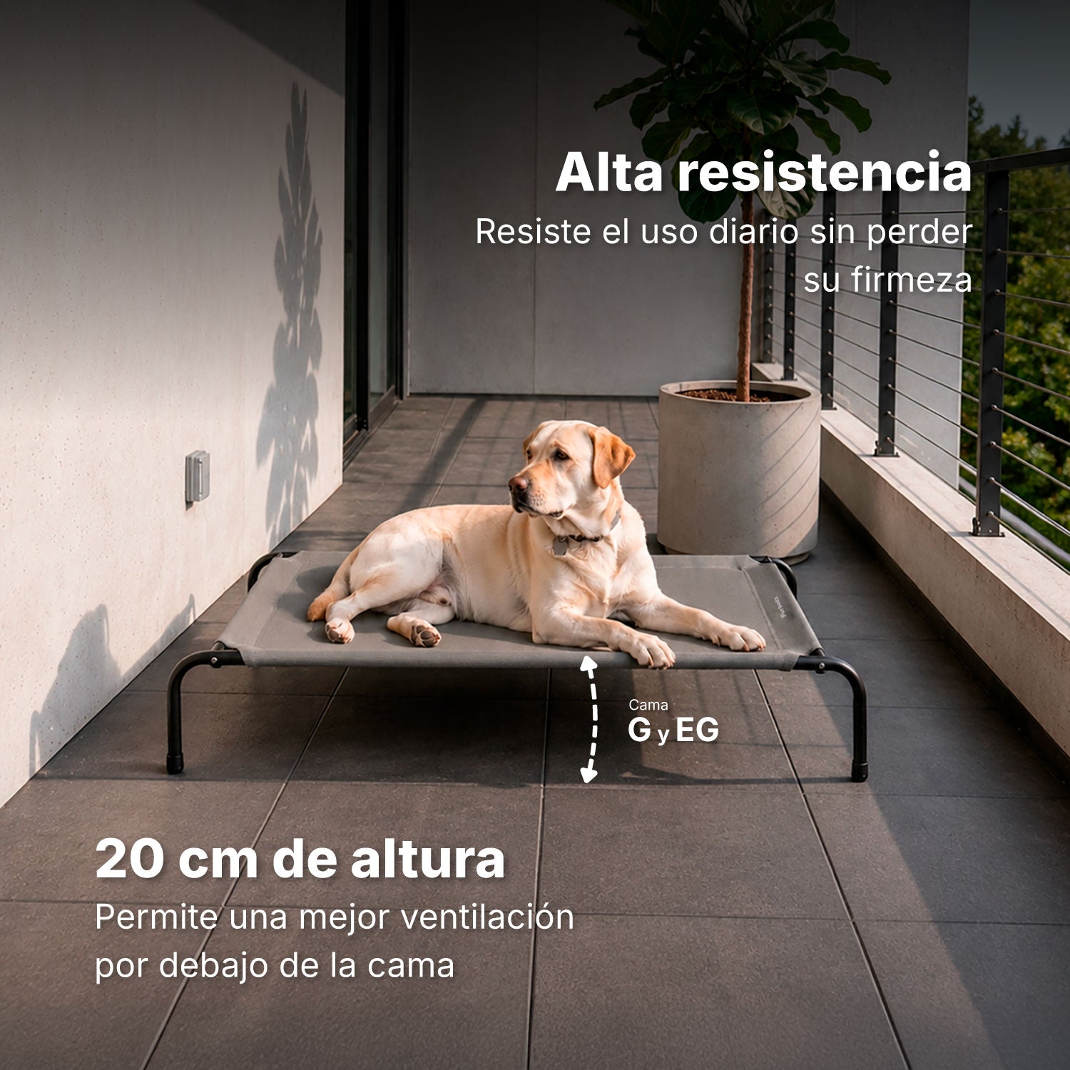 Cama Elevada para Perros