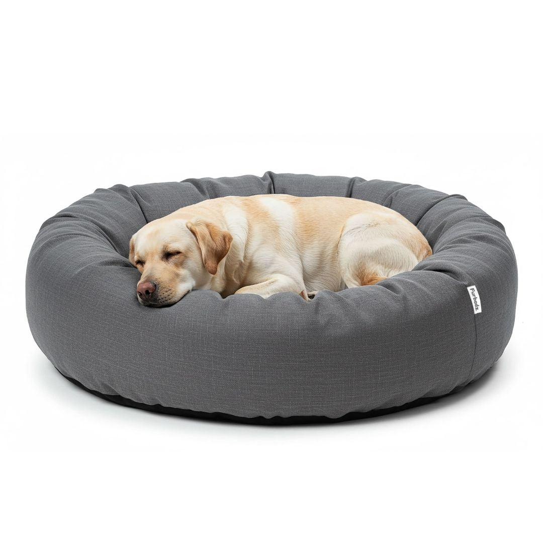 Cama Antiestrés para Perros Lino