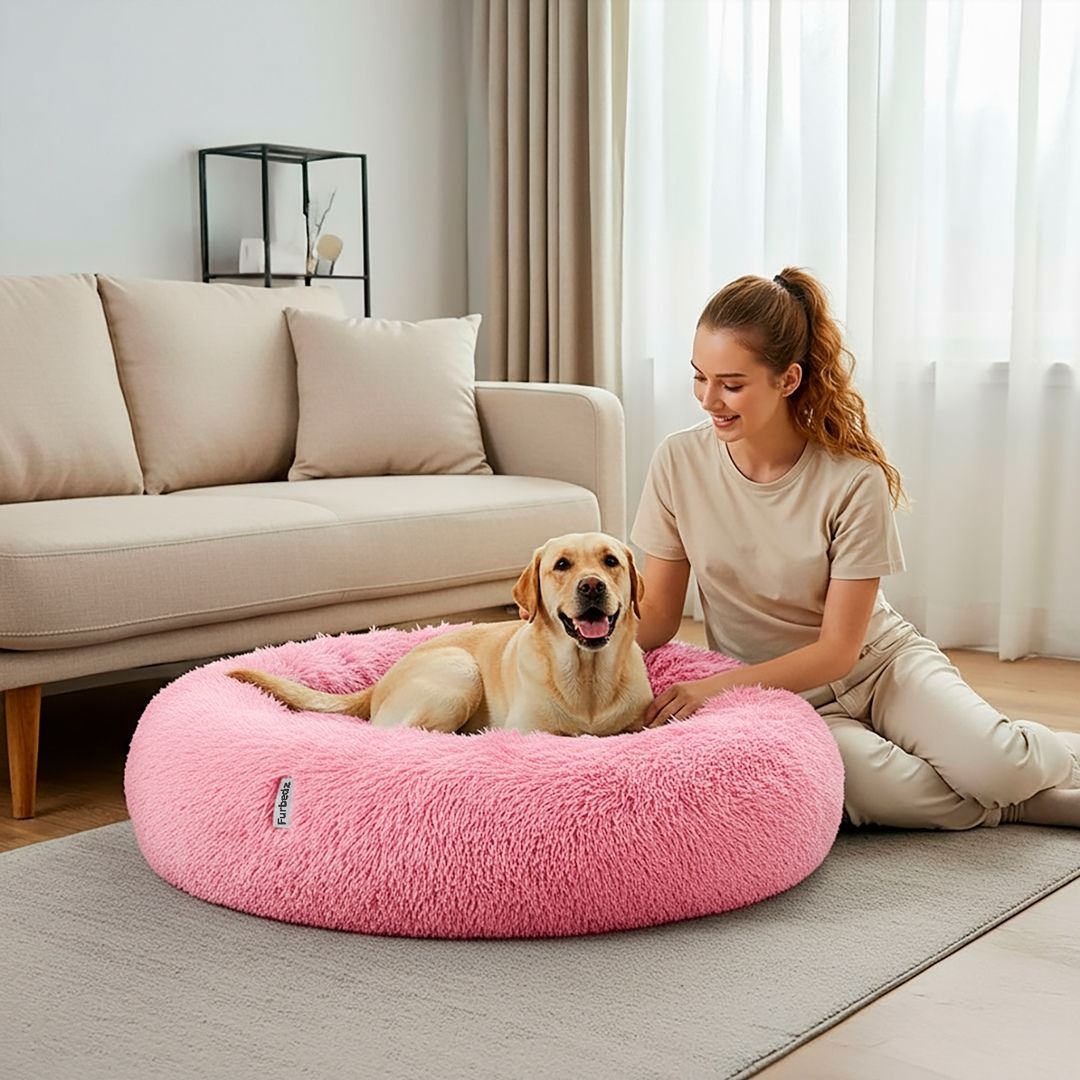 Cama Antiestrés para Perros