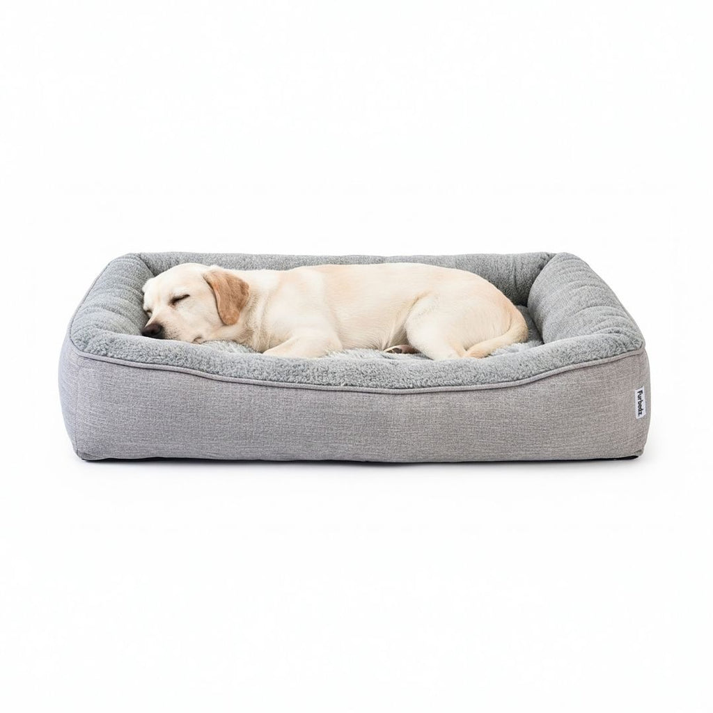 Cama Sofá para Perros