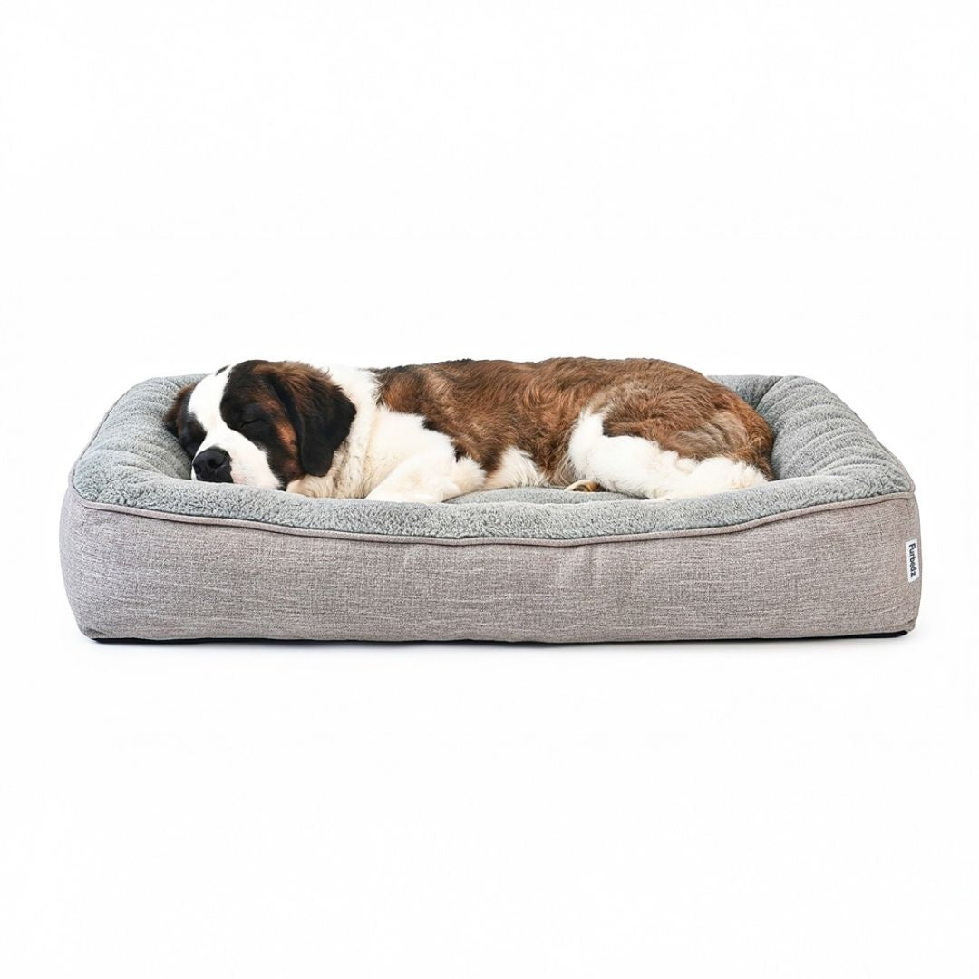 Cama Sofá para Perros