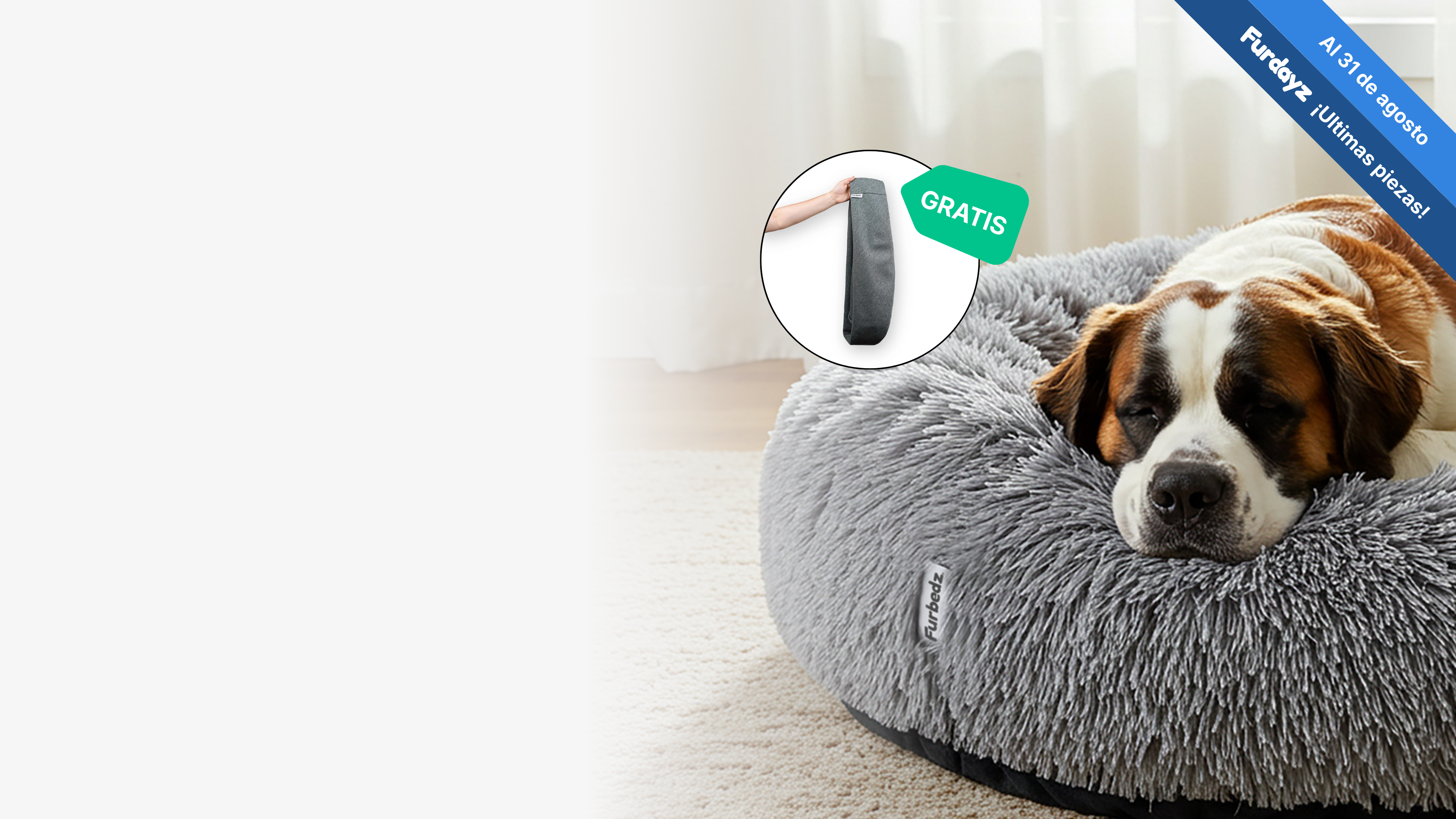 furbedz home page furdayz funda gratis hasta el 31 de agosto