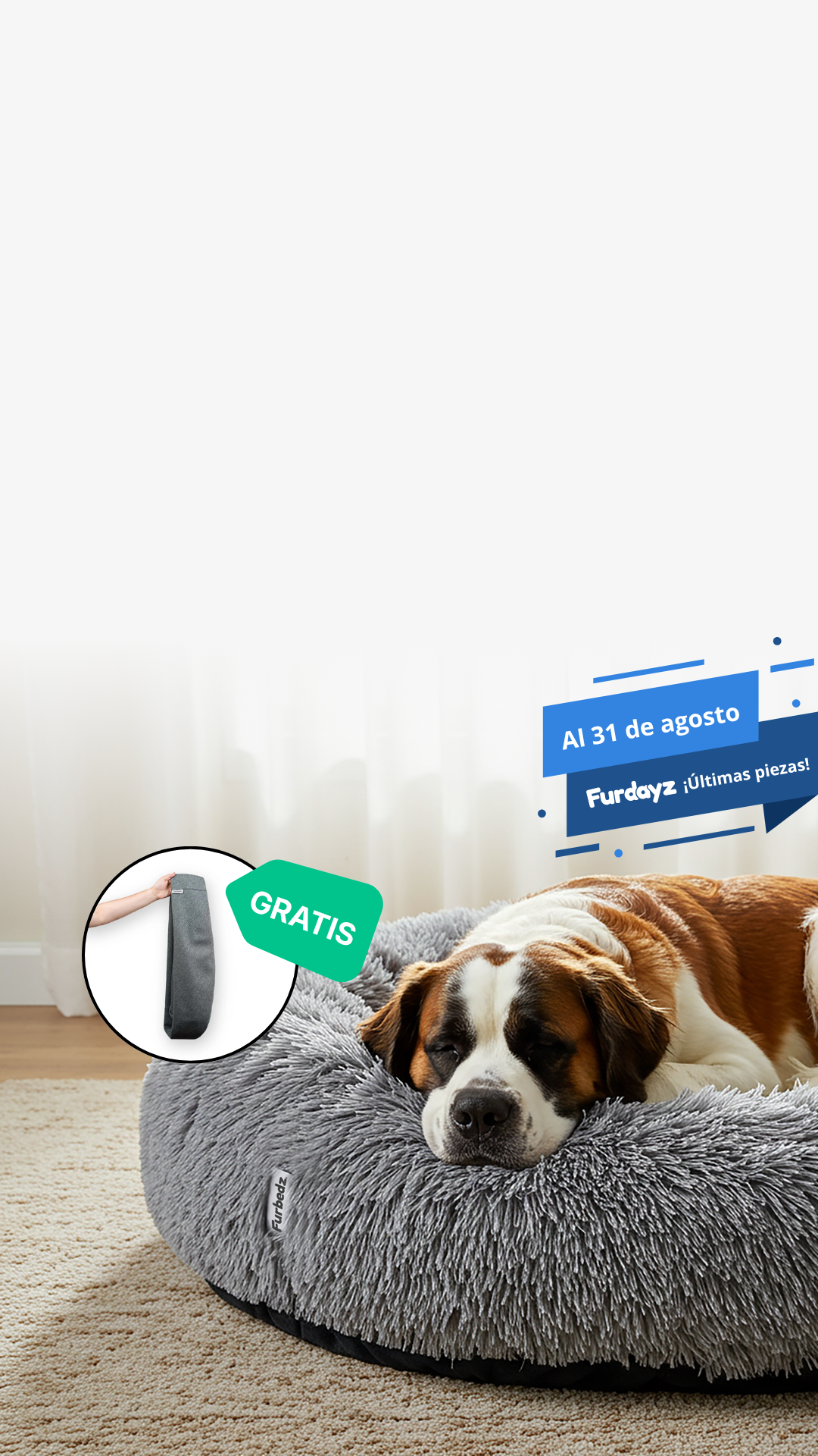 furbedz home page furdayz funda gratis hasta el 31 de agosto